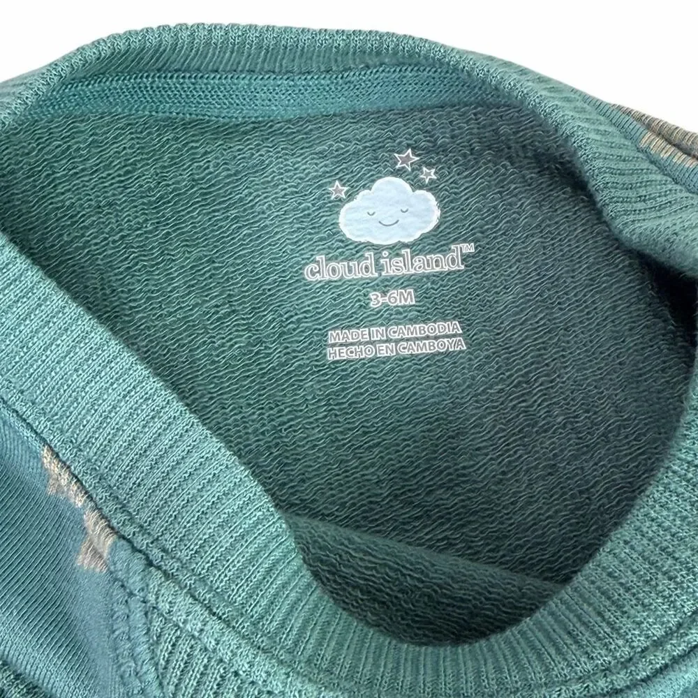 Cloud Island 3-6 Months Green 2 Piece Set NEW